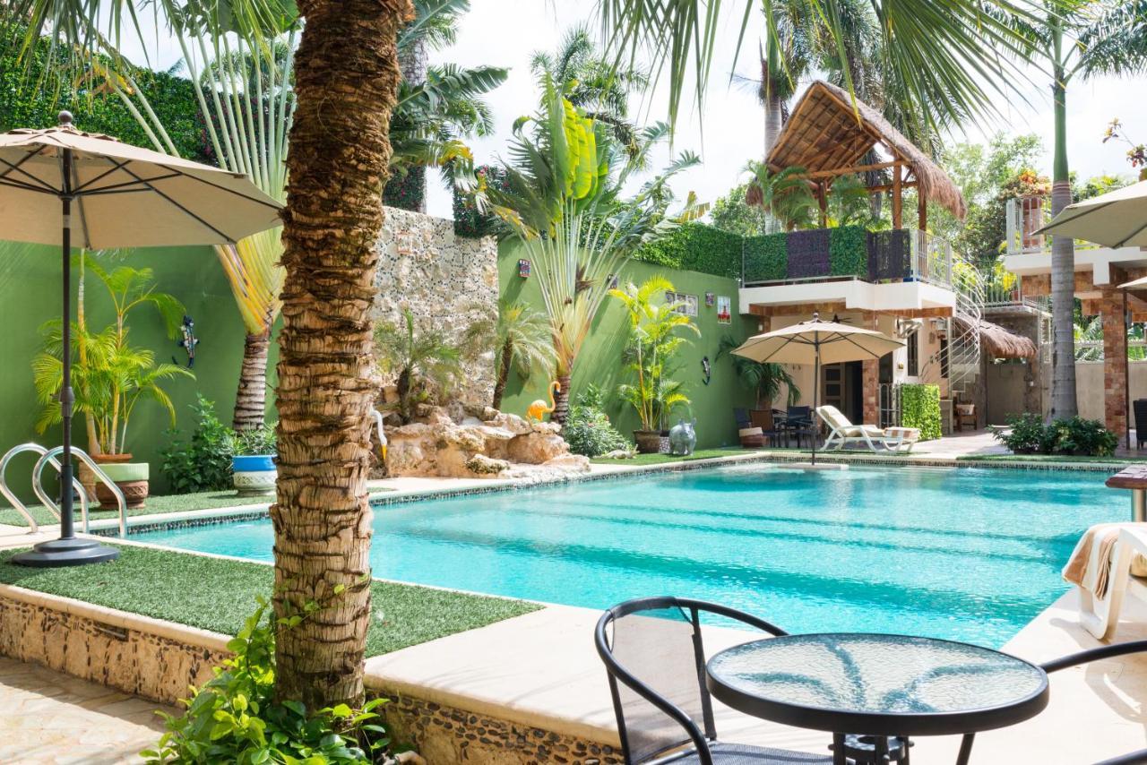 Alamos Inn Hotel Con Jacuzzi Y Piscina Cancún Zewnętrze zdjęcie