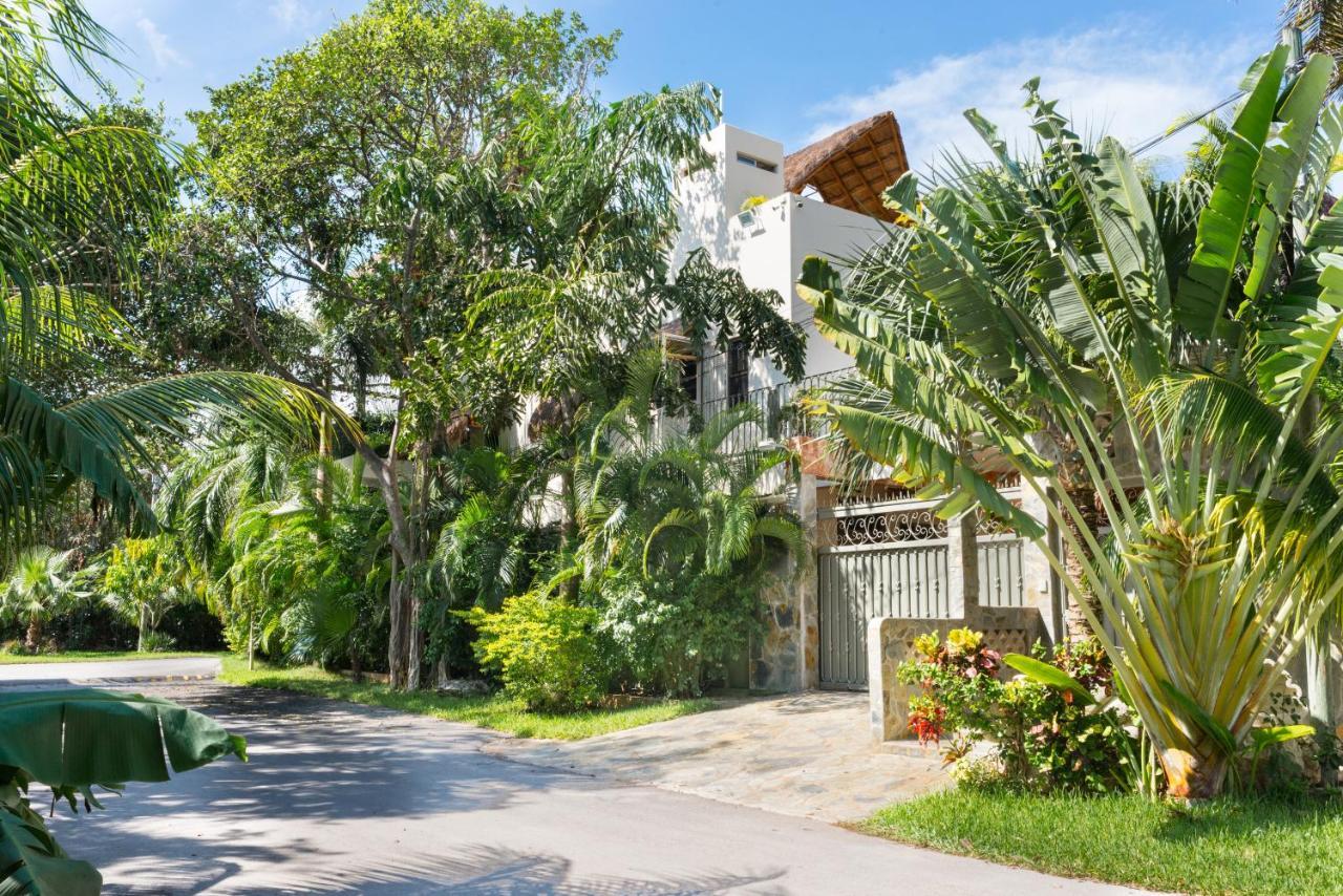 Alamos Inn Hotel Con Jacuzzi Y Piscina Cancún Zewnętrze zdjęcie